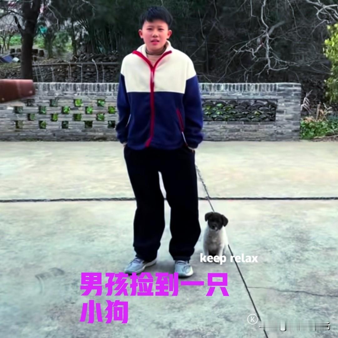 男孩回乡下过年，在路上遇到一只被遗弃的小狗。小狗看起来很可怜，男孩只是逗了一下小