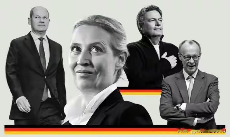 此时德国的民调数据应该是最真实的，能真实反应德国选民内心真实的想法，能真实反应默