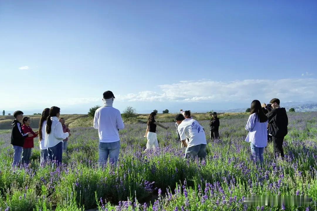 仲夏伊犁播报
品尝一场紫色花海下午茶
📍漫心忘忧谷·8月29日#三哥说旅行# 