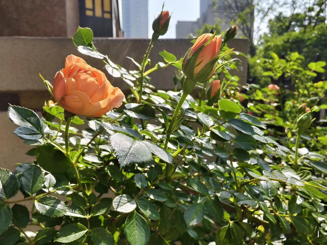 前几天在手机上存的那笔定期存款，我想取出来。

清明节前，攒了一笔钱，凑个整数，