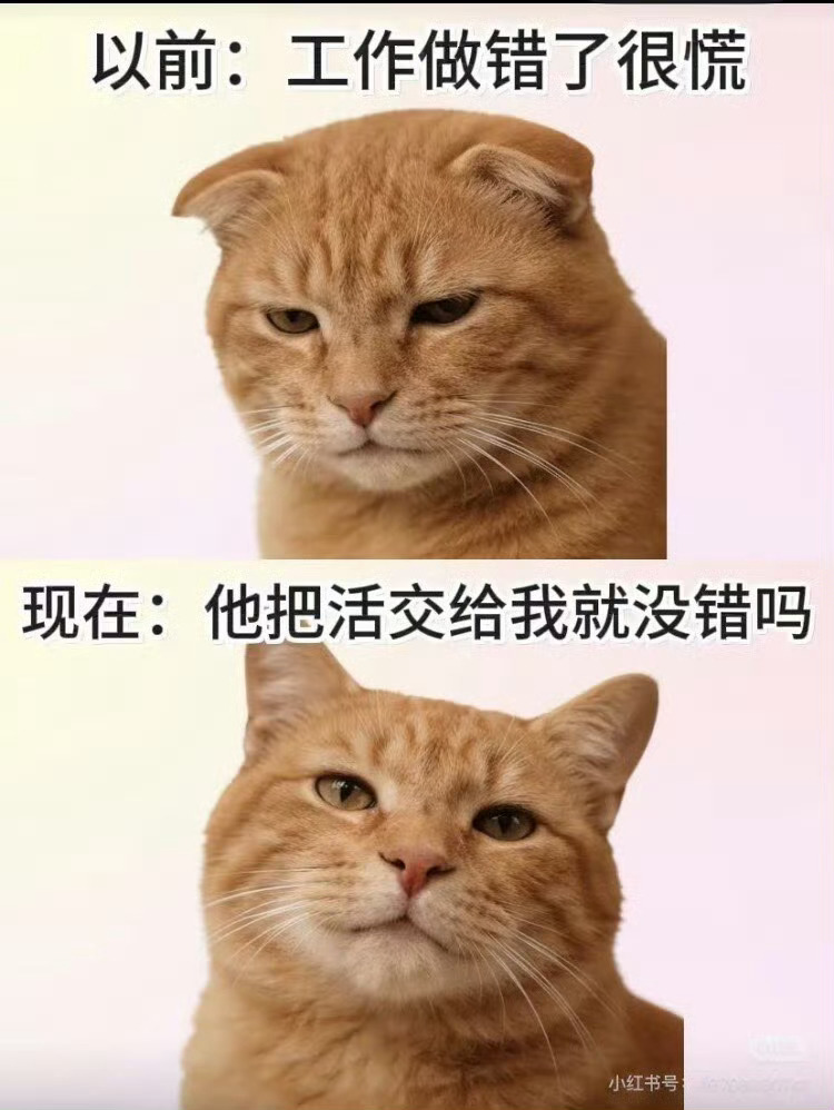 放心一定会搞砸的 