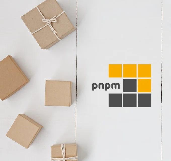 🧩pnpm 12.4 开始“跨语言抓包”了：npm、Rust、Python 一