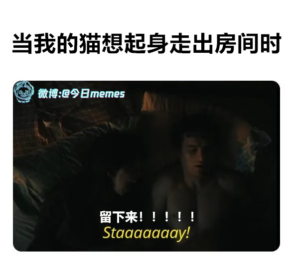 痴咪（9gag）今日meme[超话] 今日memes ​​​