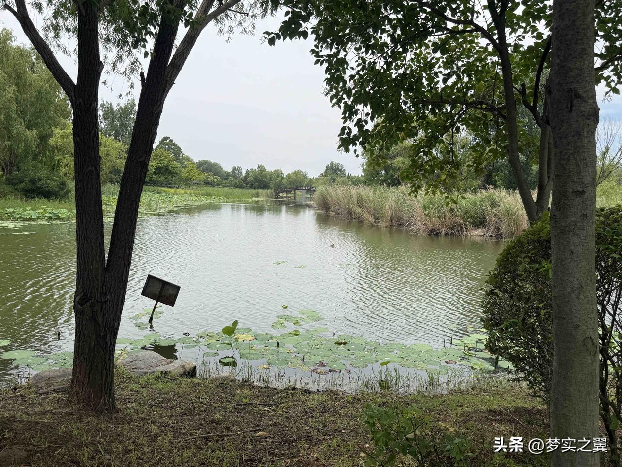 【小对联】
上：车票；
下：……？
