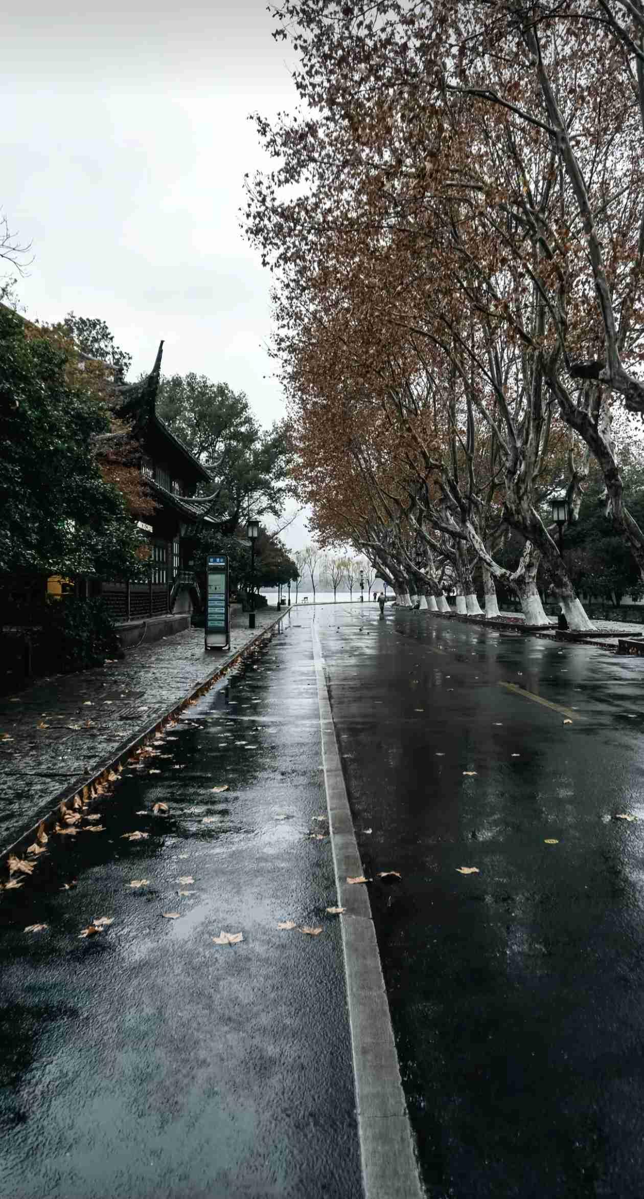 我的今日状态：😁轻松愉快
我这里的天气：🌧下雨

雨声里，
忽然想起那篇《凡