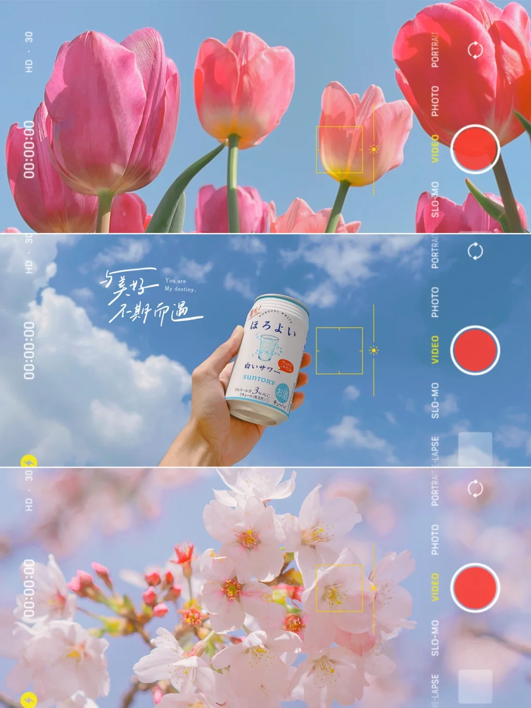 手机调色✨日系清新郁金香滤镜🌷拯救废片❗️