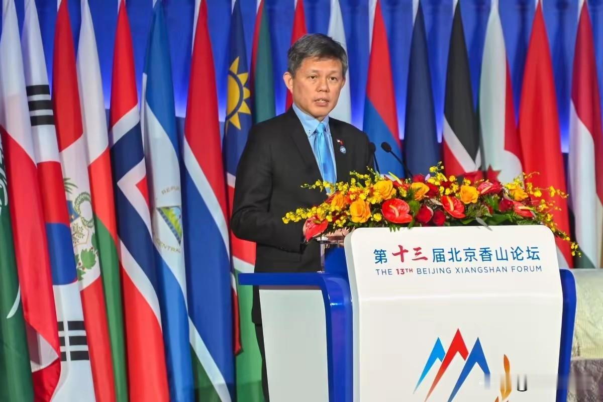 印加坡的防长来我们这开会了，来着都是客，挺好，欢迎，会上人家说说自己的想法也是可