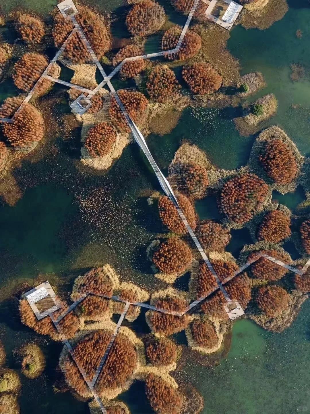 【吵闹多的家庭，酱油也是苦的】
        “吵闹多的家庭，酱油也是苦的”，