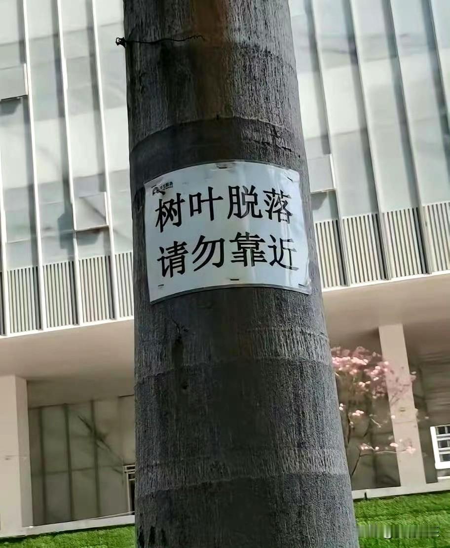 广东也太娇情了，一片落叶能闯多大的货？还贴个标语.......... 走进一看我