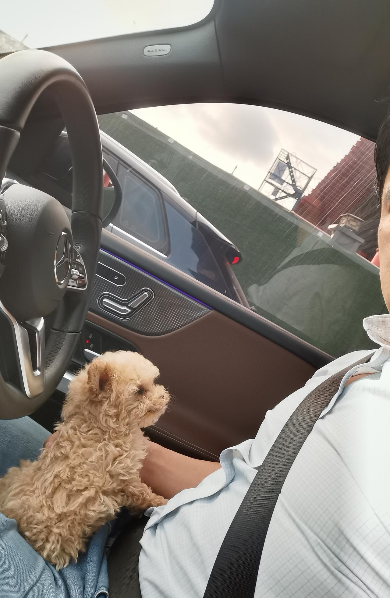 洗了个澡，换了身衣服，出了门，却不知道去哪儿，不知道去找谁，就漫无目的走着，大概