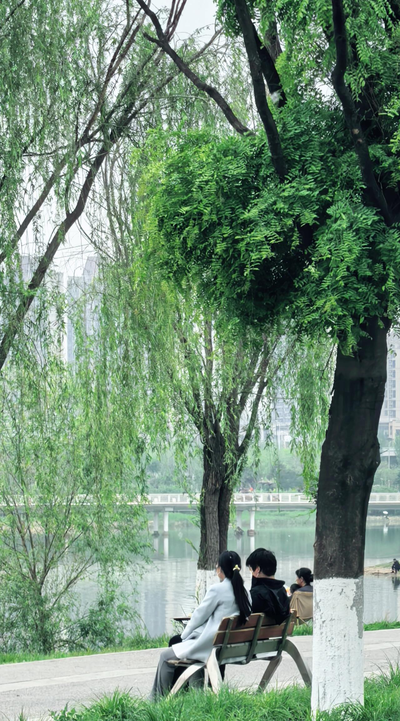 最好的放松方式，不是刷手机，是坐在河边的长椅上，看河水涓涓细流，听微风轻拂柳叶的