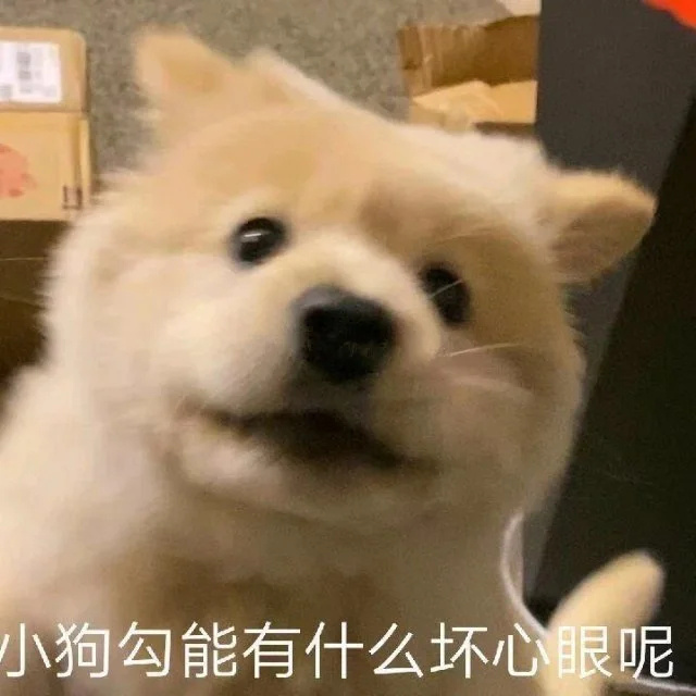 每日一善每日一善阳光信用 前行之路纵有疾风骤雨，也别停下脚步。你体内藏着无限潜能