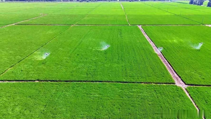 地理冷知识我的宝藏黑龙江  “北大荒”变成“北大仓”，用了不到一百年。 从昔日的