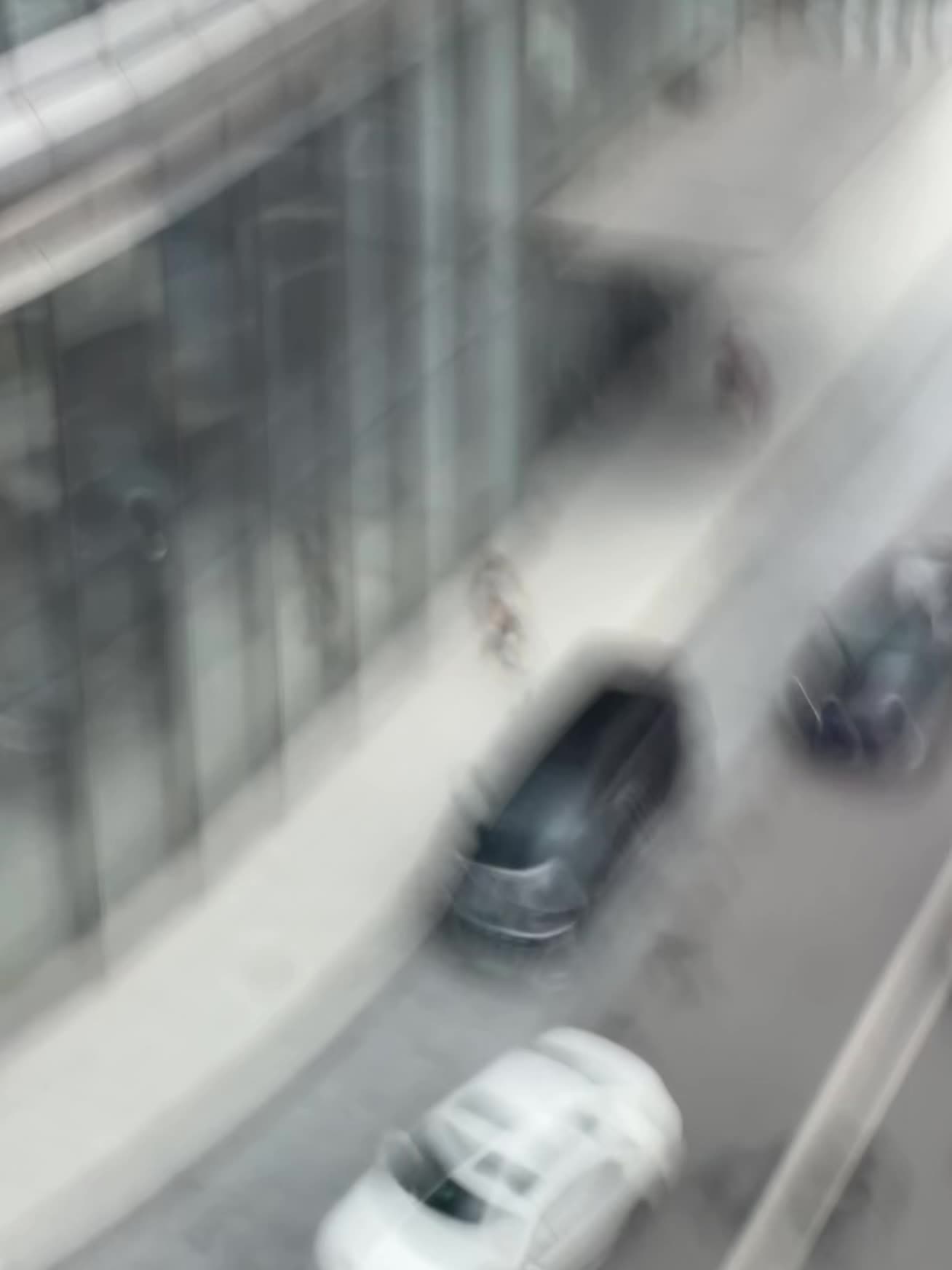 我家宝贝把我拍的尊美