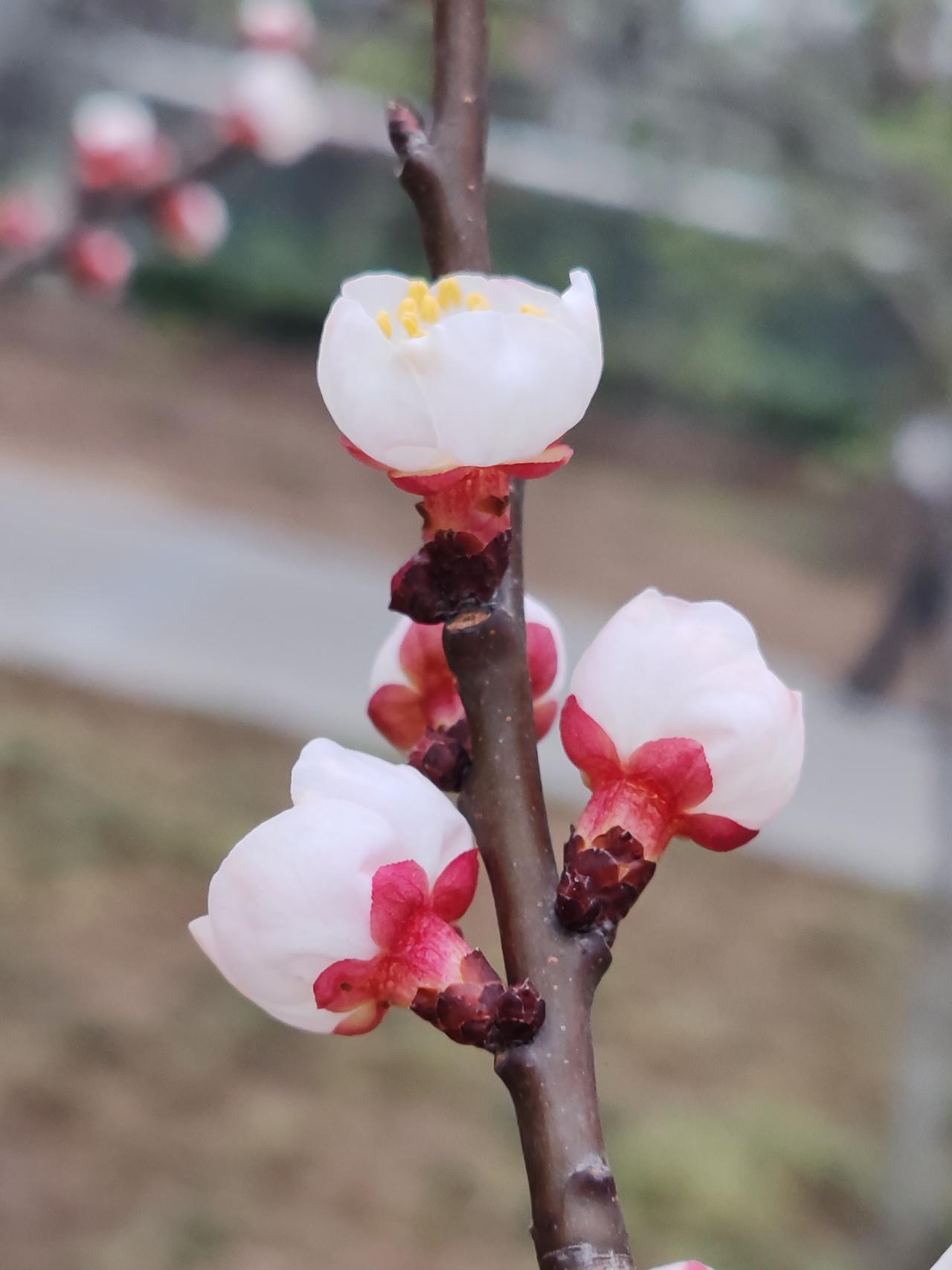 你所言极是，不过也只是停留在理论层面罢了。人各有其能力高低，强弱也存在差异。当委