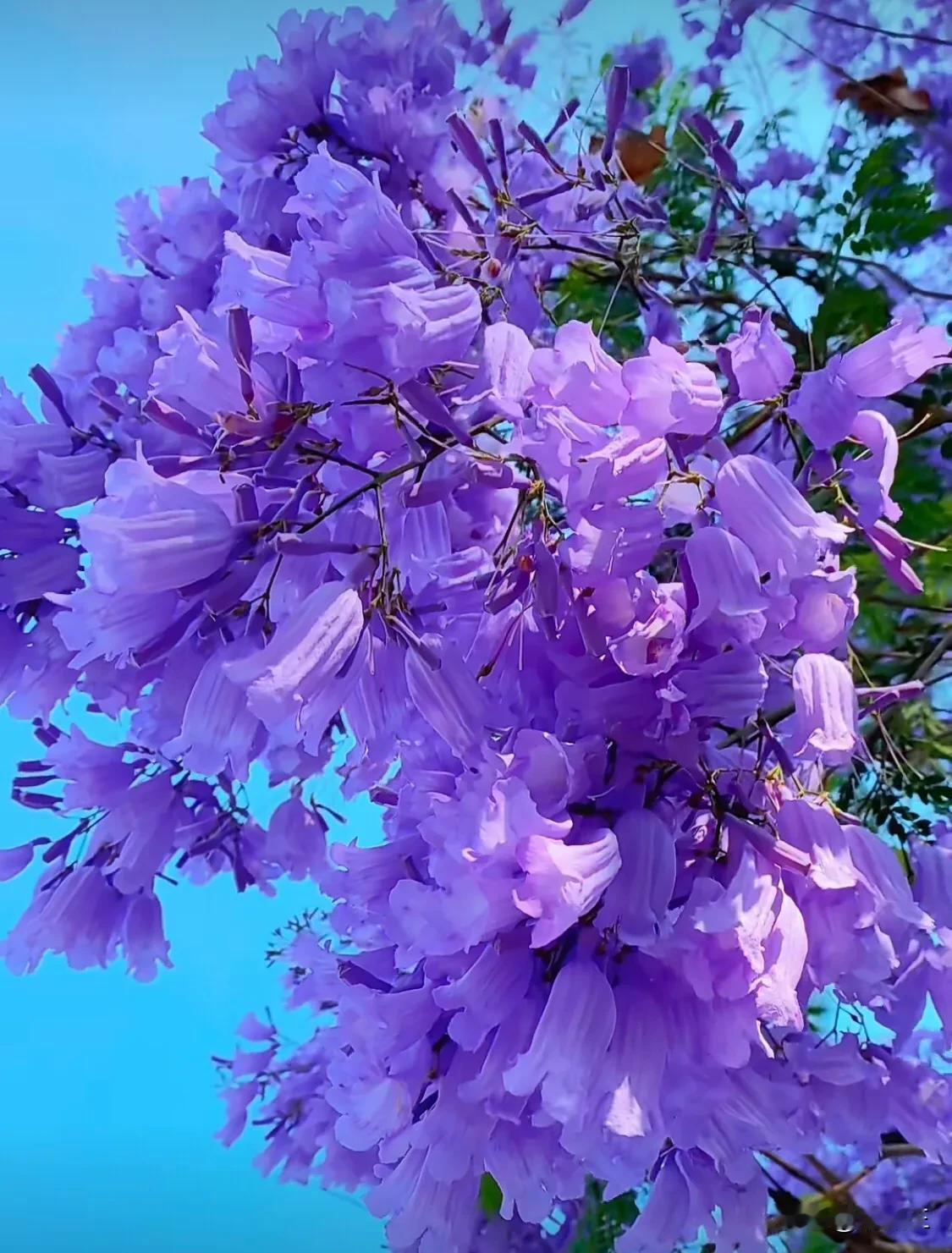 #你最喜欢的季节是什么?#
我最喜欢春暖花开的春天和硕果累累的秋天，但现在的这种