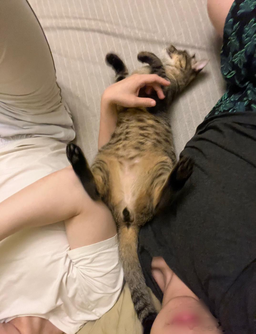 看葵葵是不是很过分！不分头还是屁股，就往我怀里一倒… ​​​