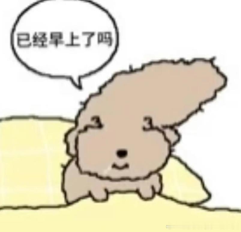 早！怎么感觉刚躺下就天亮了