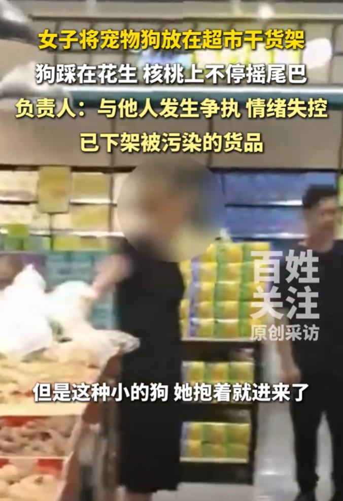 “真是脑子有病！”女子抱着宠物狗去逛超市，在中途抱累了，竟然直接将狗放在干货货架