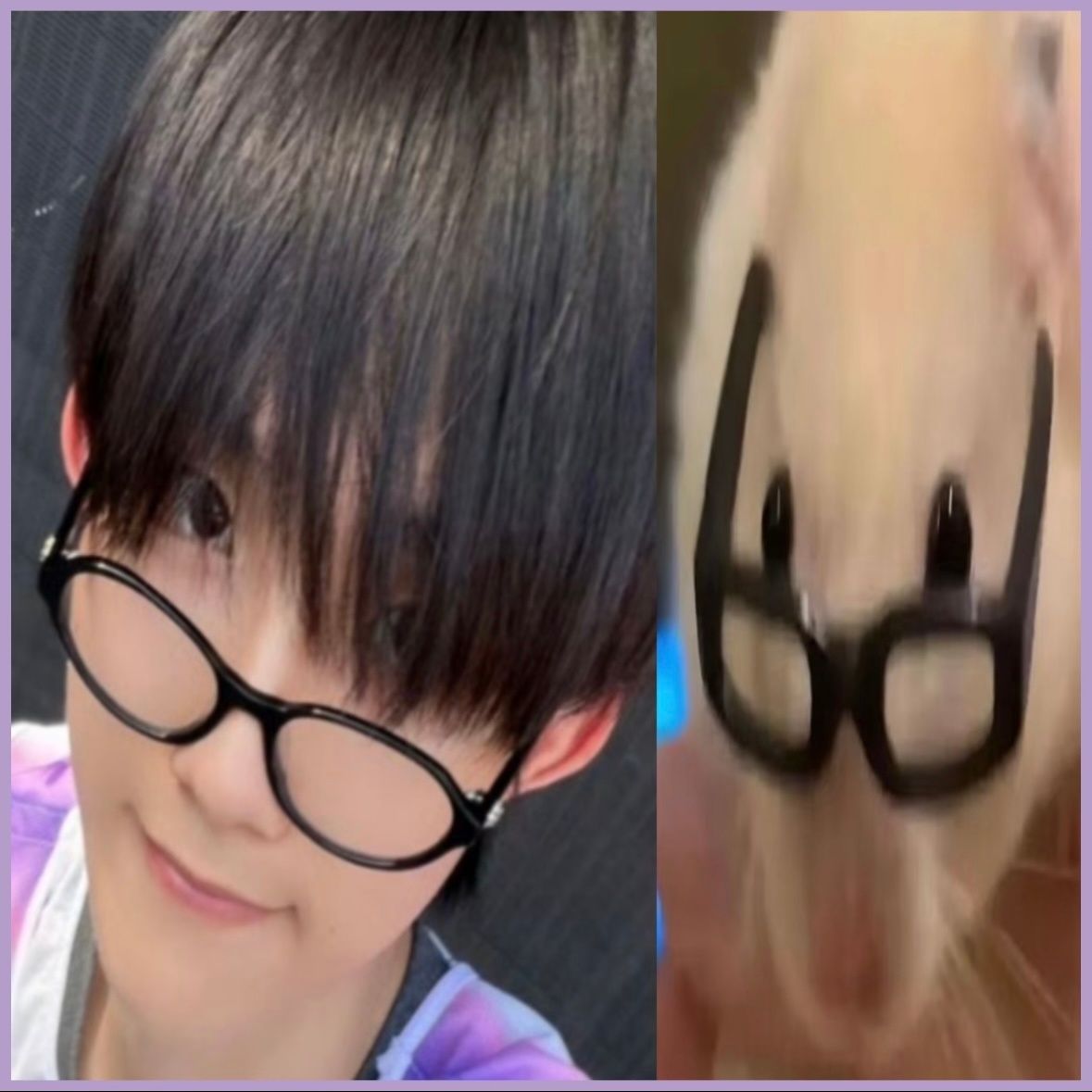 苏新皓 唯爱一只囊饼子 