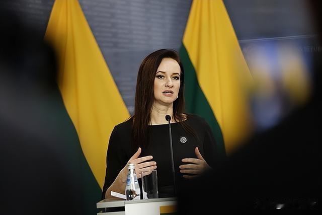 立陶宛向大陆认错，或关闭台当局“代表处”：像是一头撞上了火车。立陶宛是极其反俄罗