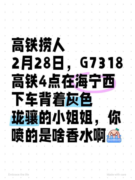 捞小姐姐