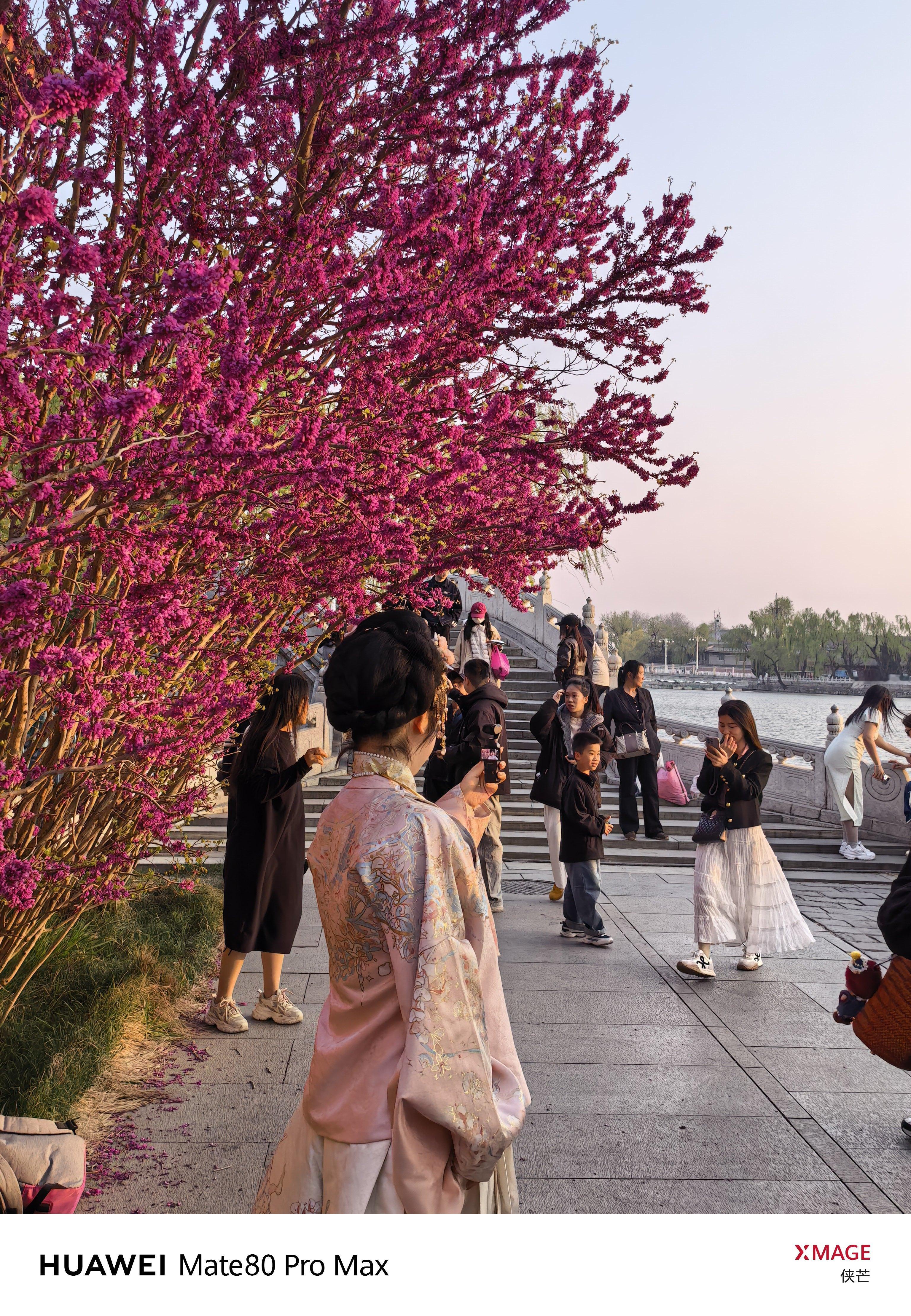 琼岛春光，风送花香。摄影