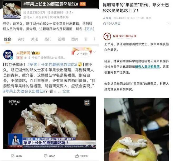 #多闲鱼用户挂售霉菌引研究生破防# 这个新闻真是让人哭笑不得，没想到平台上还有这