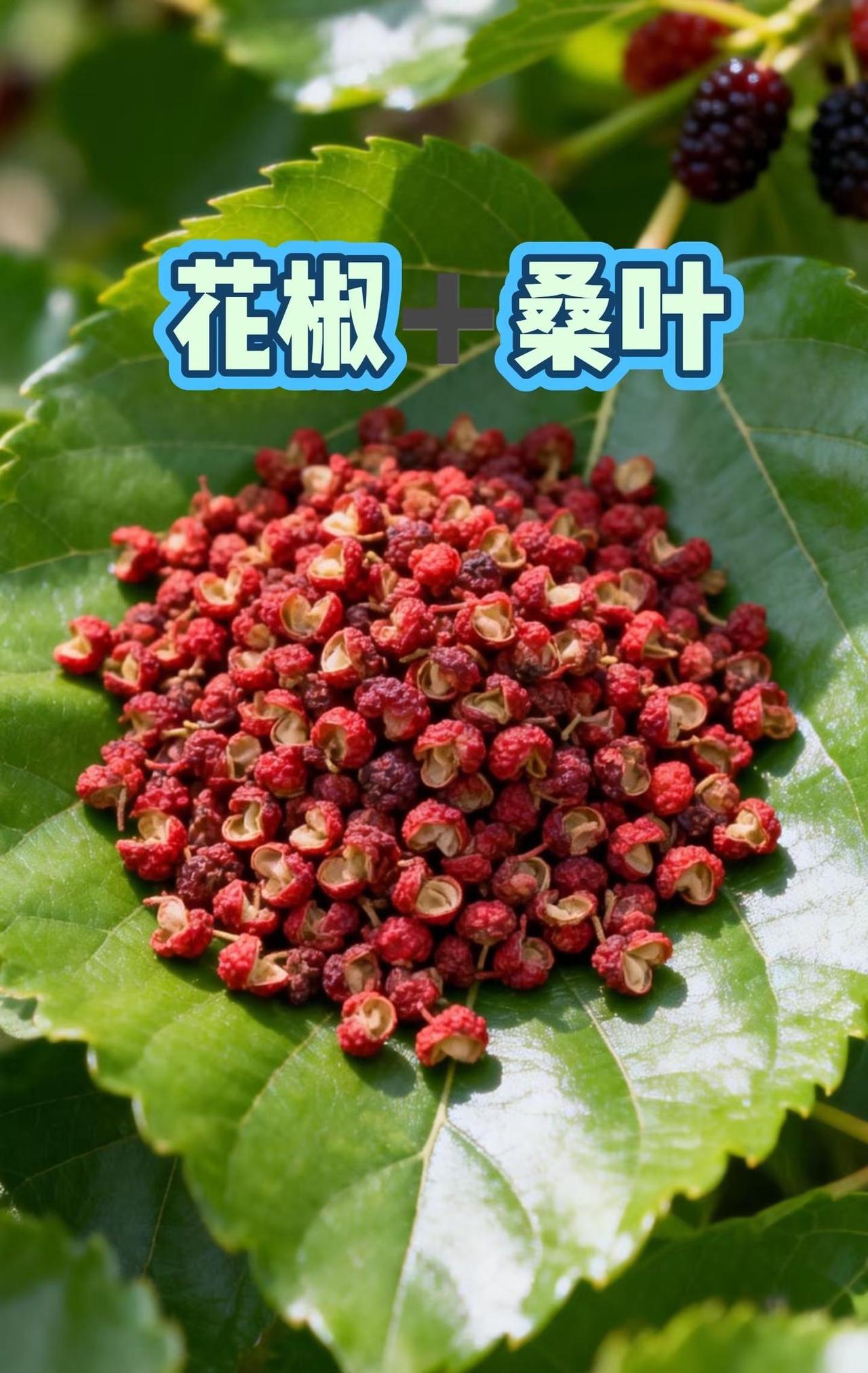 中国德比来了，丁俊晖10比5战胜吉尔伯特世中国德比来了，16强桑叶花椒 下轮对战