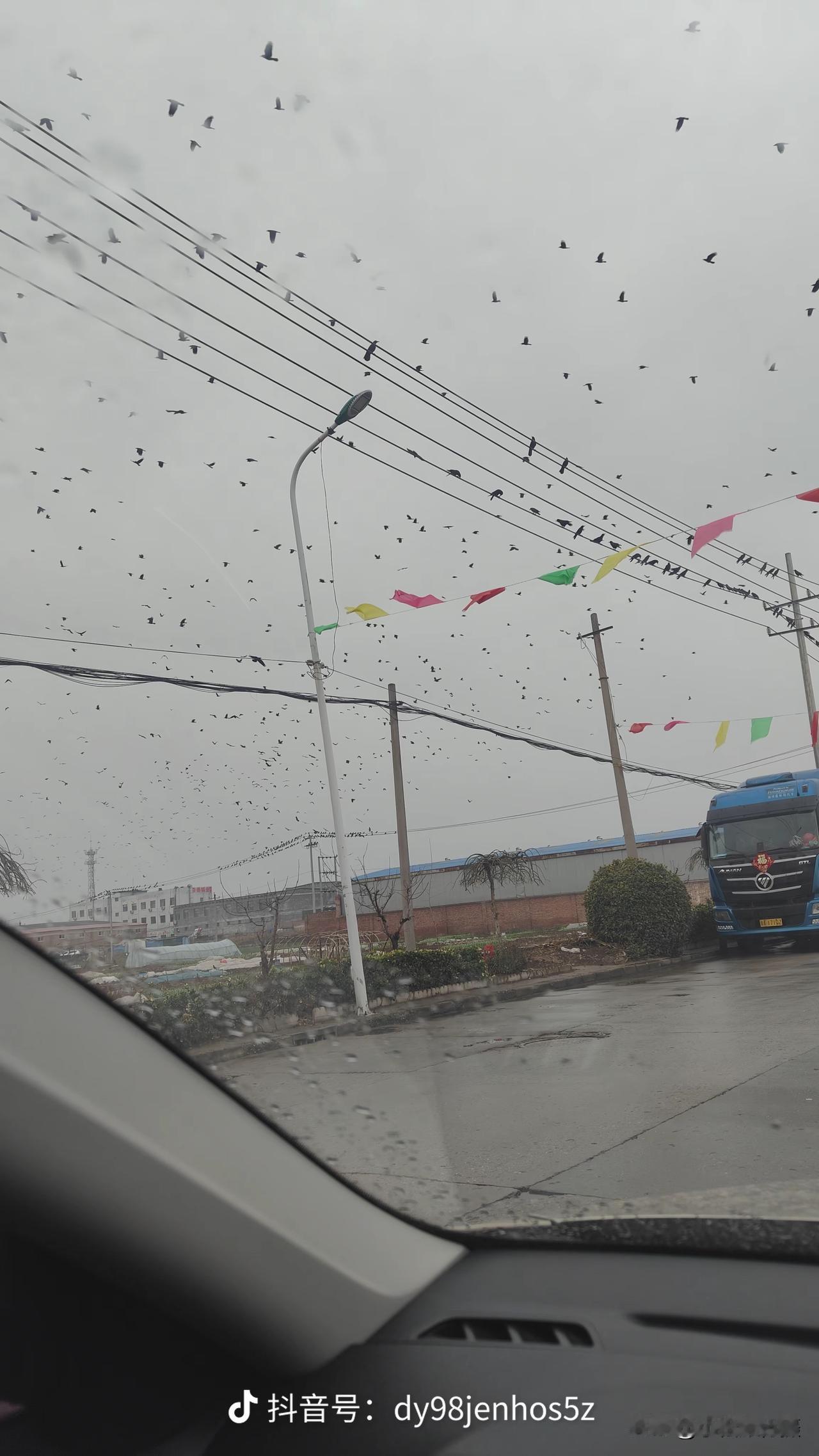 天哪，怎么飞来这么多乌鸦？！近日，据网友们提供的信息显示，大致方向是在藁城与正定