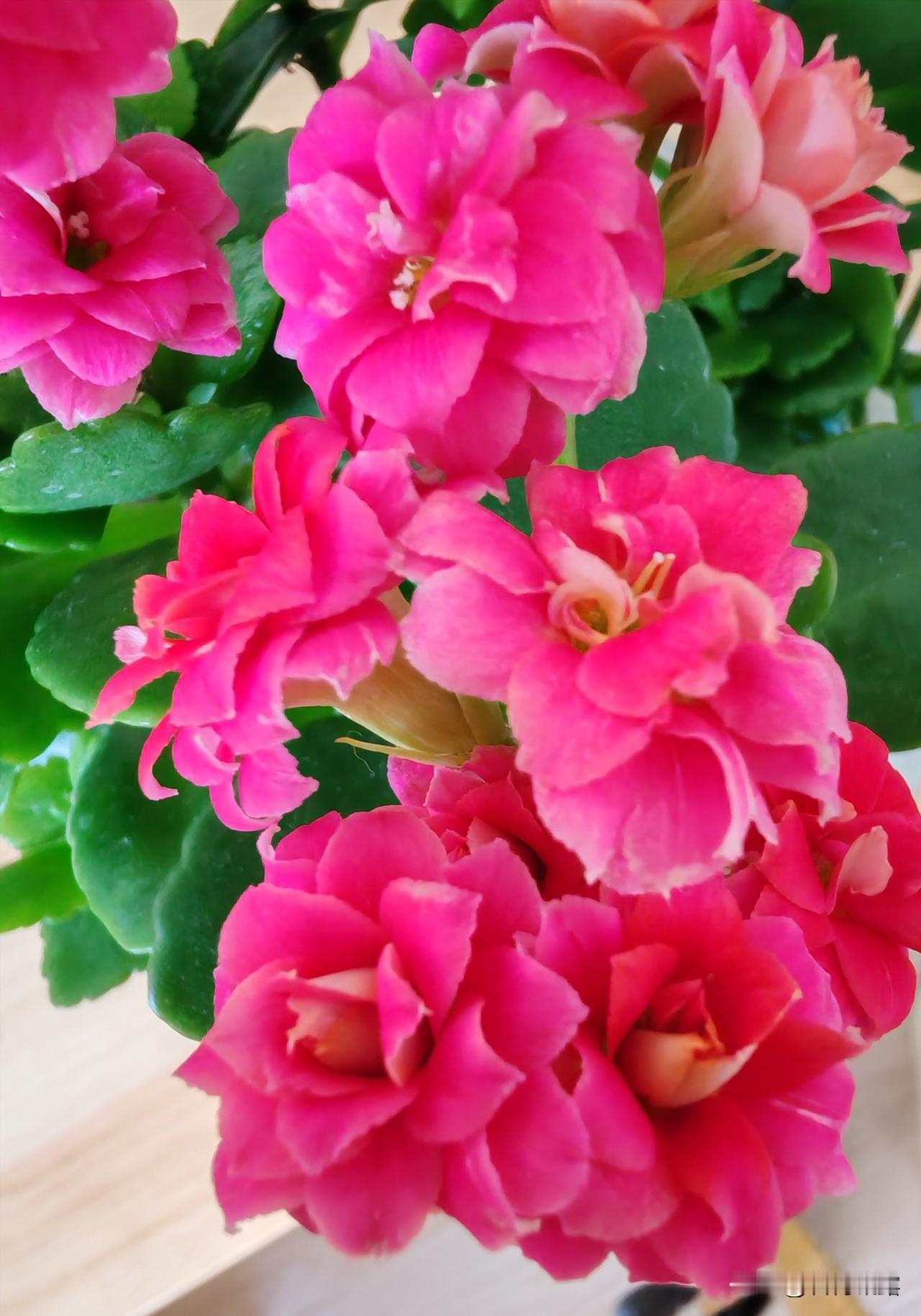 快乐有迹可循，热爱漫无边际。在喜欢的状态里，更新自己的生活。