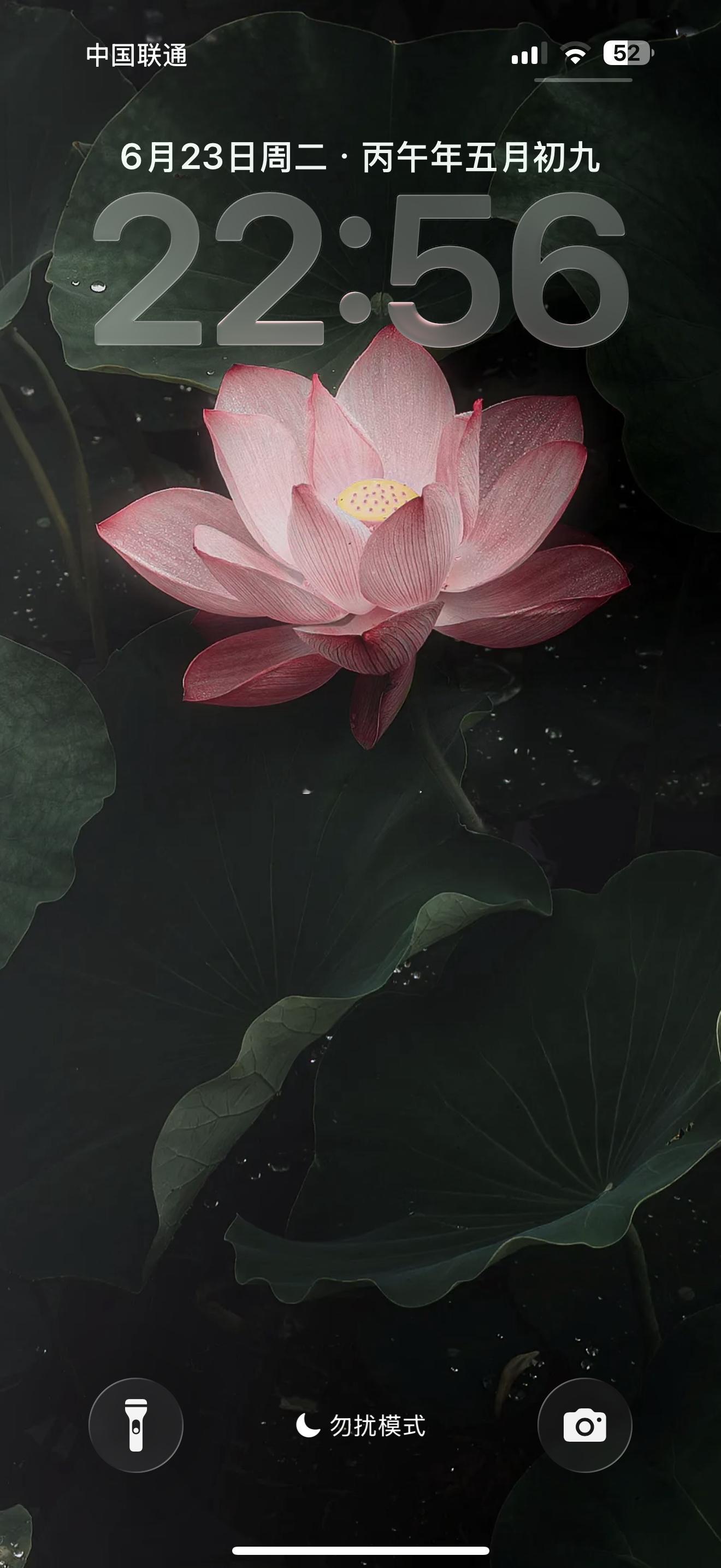 当我把壁纸设成荷花的时候，我还没反应过来我是上年纪了