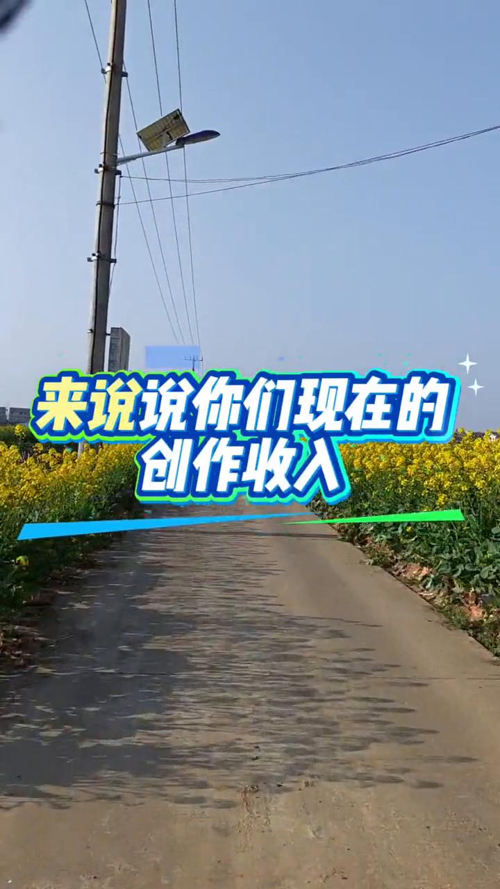 来说说你们现在的创作收入。