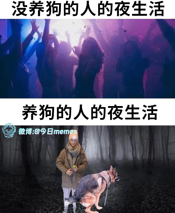 拉似一张弓（9gag）今日meme 今日memes