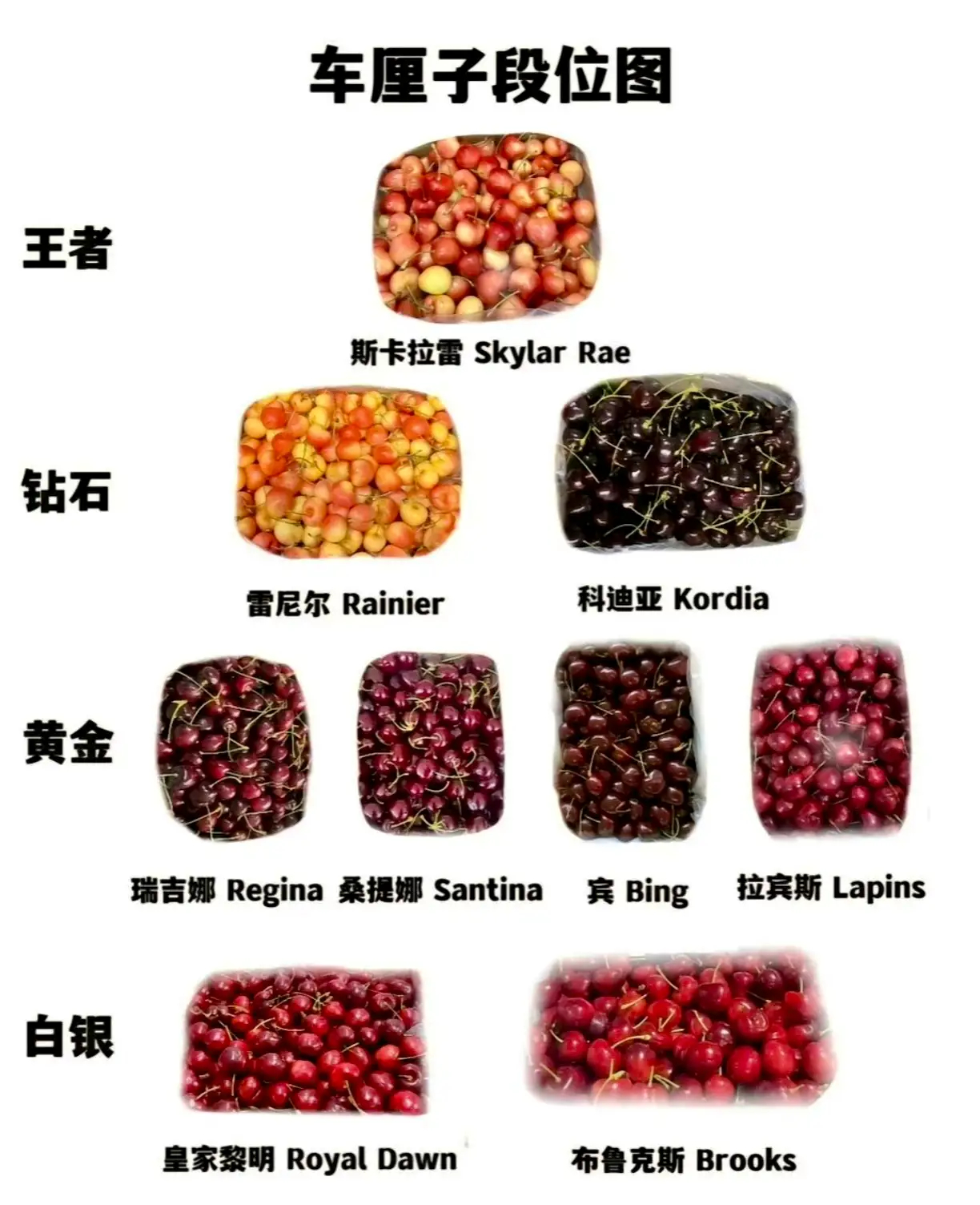 跌落凡间的车厘子怎么没人要了今天车厘子价格据说崩了，比去年低了30%，原因一是说