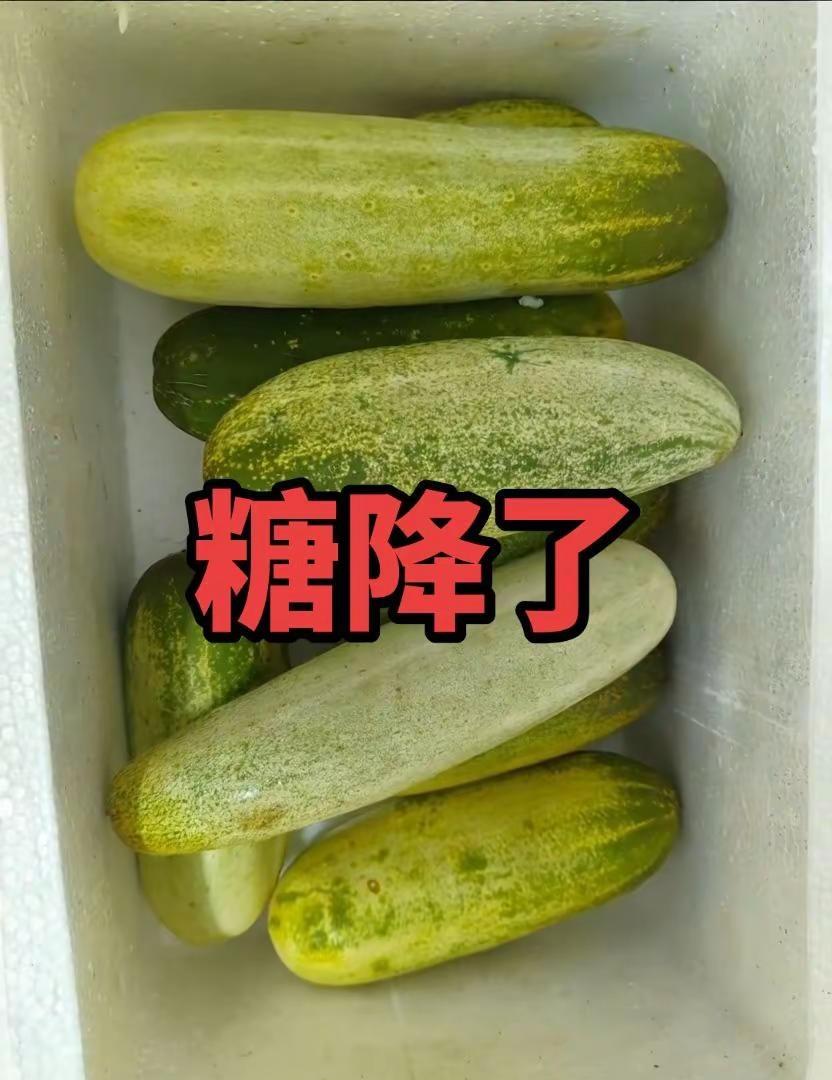 乒乓球@抖加🔥上热门🔥dou+🔥热点宝 @DOU+小助手