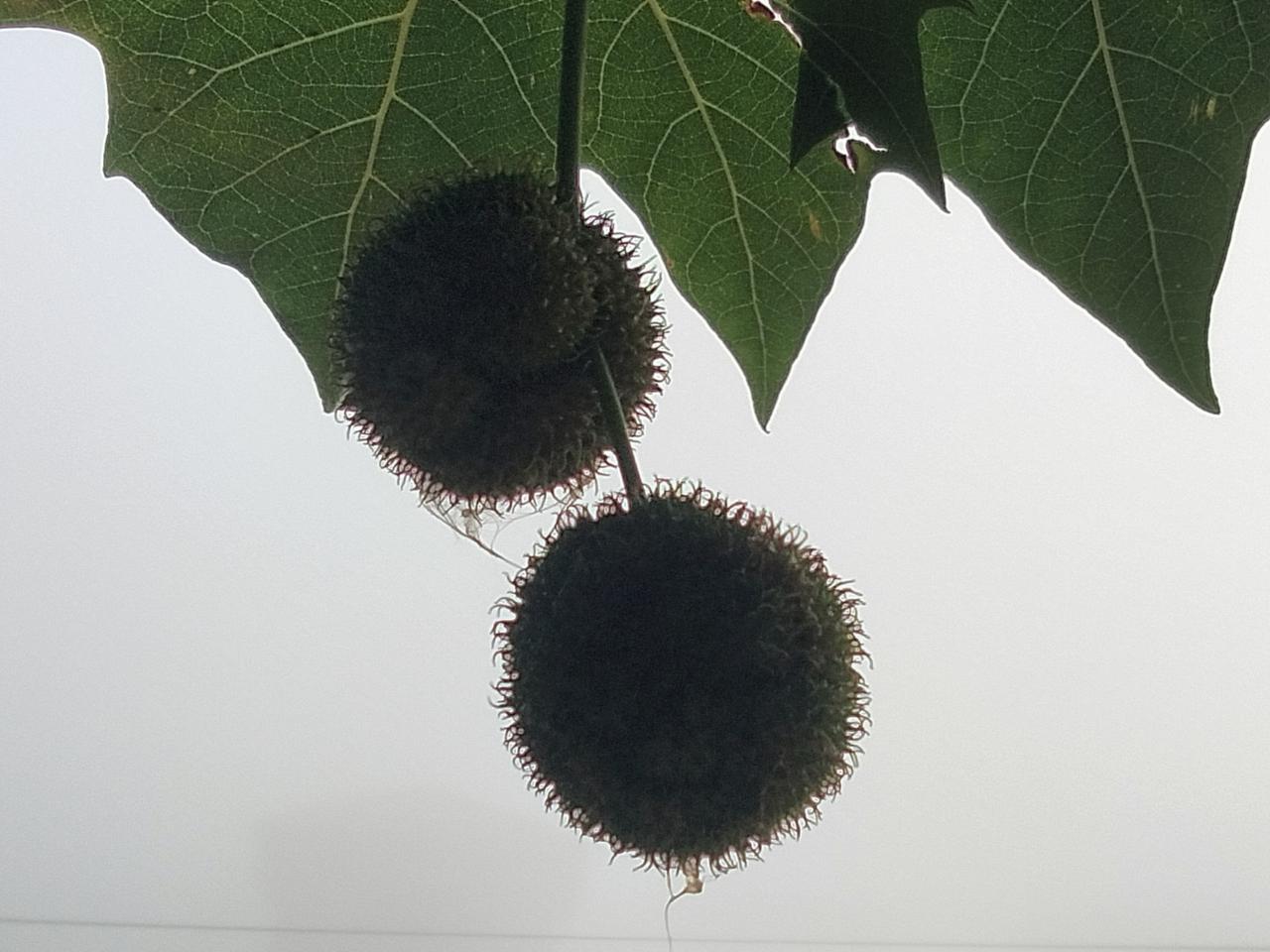 分享一下你随手拍下的照片别具一格，应当将其发表！
