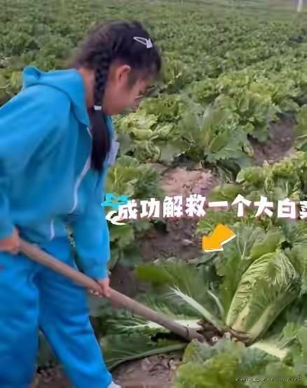 汪峰带醒醒乡下挖菜
大概是之前在机场与女友秀恩爱被网友蛐蛐，汪峰最近显得对孩子特