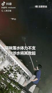 上人民日报了!成都，锦江畔上一只流浪猫落水，因为体力不支再也没有力气游向岸边。