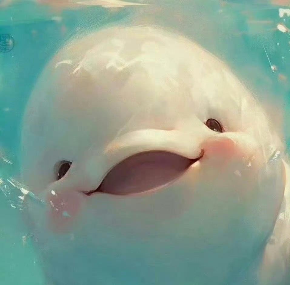 秒赞这只小海豚，你会收到期盼已久的好消息 💫 