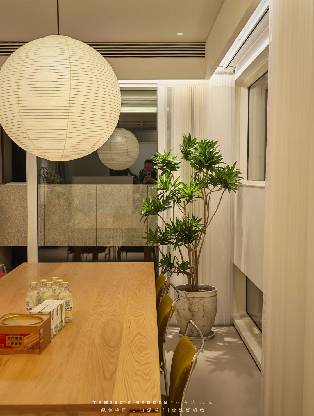 绿植宅配｜用料公开通明不作假