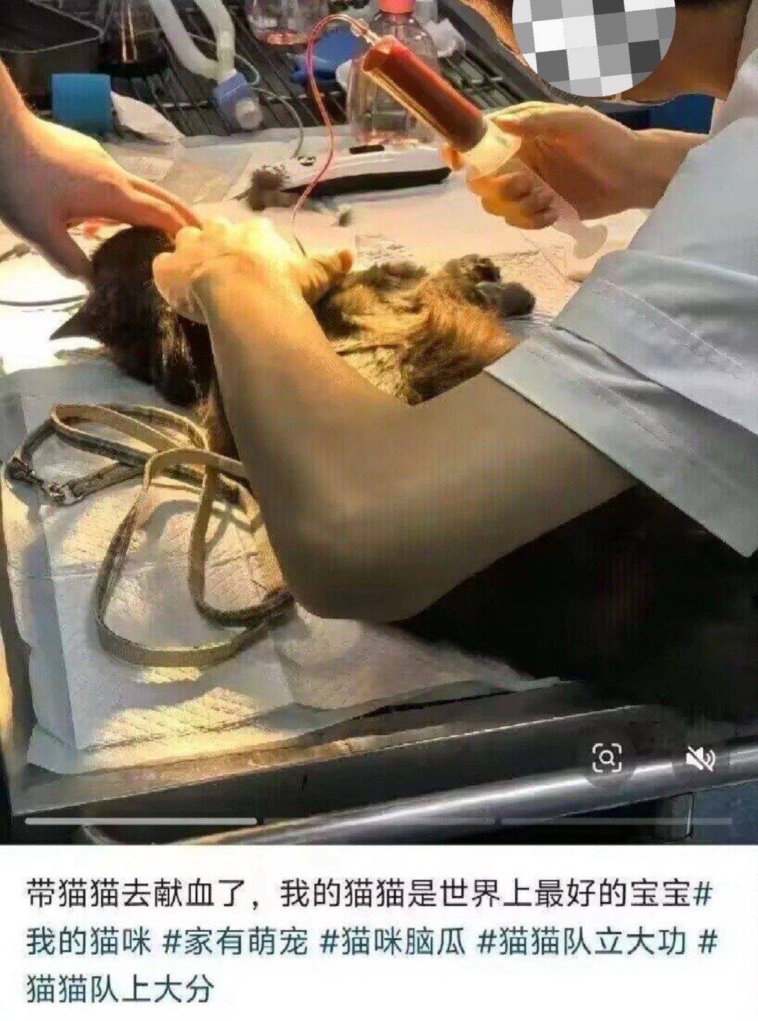 你们可真是人才，我勒个大🌿了 ​​​