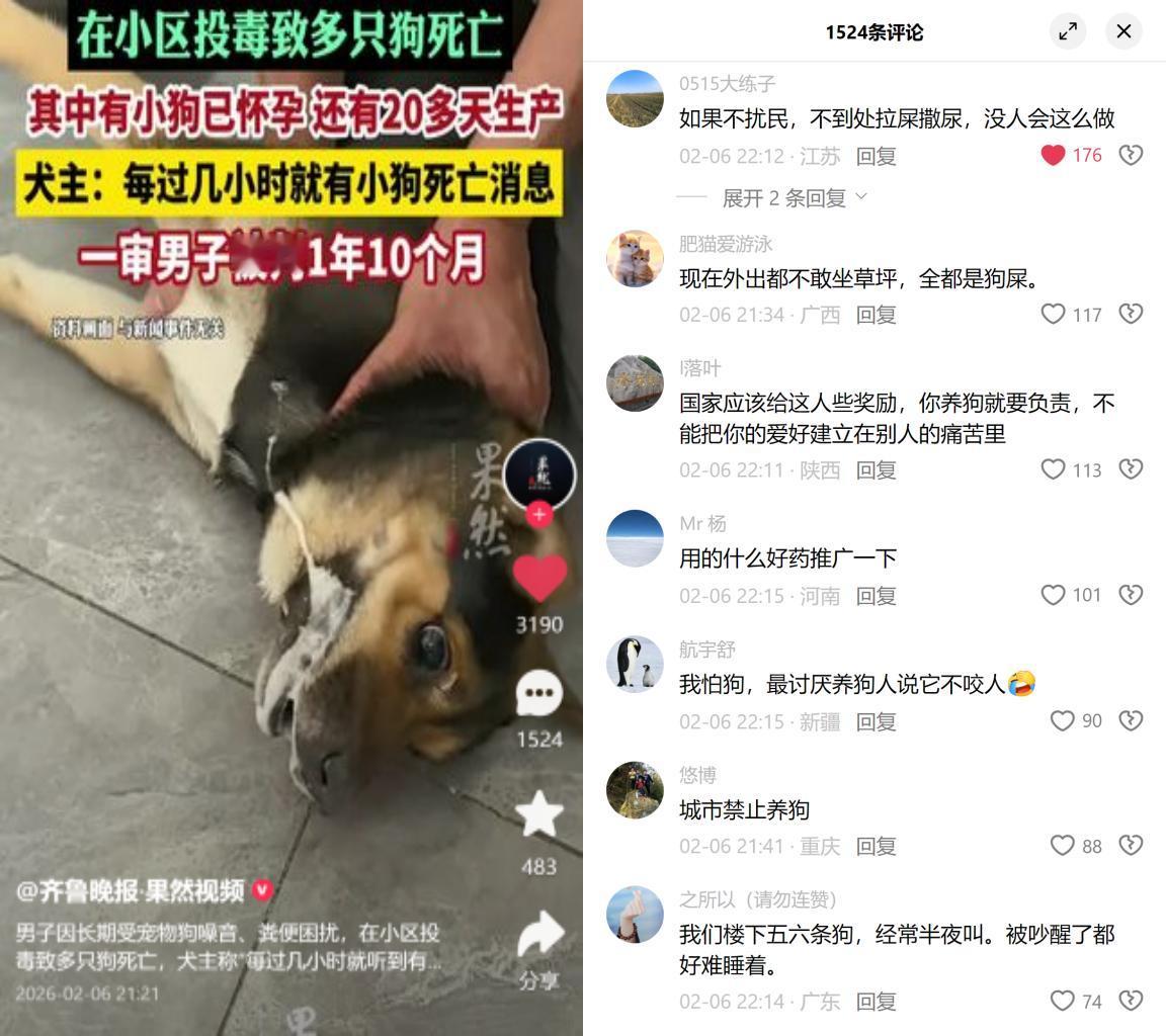 投毒杀狗获刑，大家却同情凶手

这事儿看着荒唐，其实想想也不意外。

广