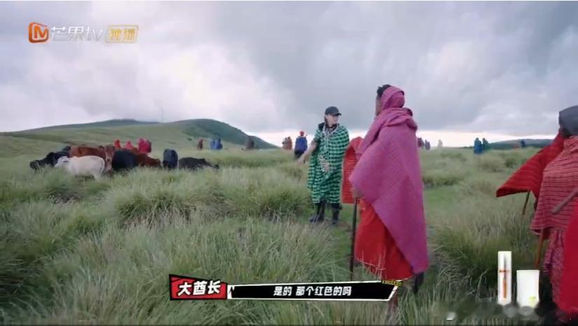 黄子韬买牛卡颜 谁能抗拒黄子韬的选牛逻辑！“只要它好看”五个字，把严谨选牛变成了