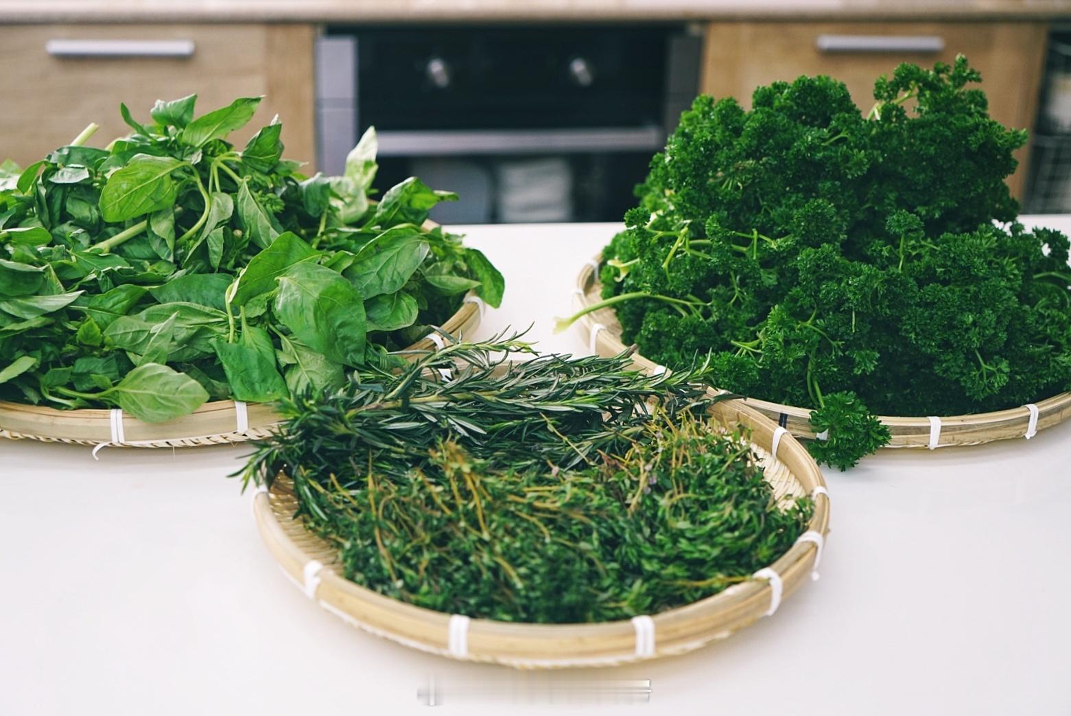 香草料理海盐🌿要从挑选新鲜香草开始乐趣厨房食谱 ​​​