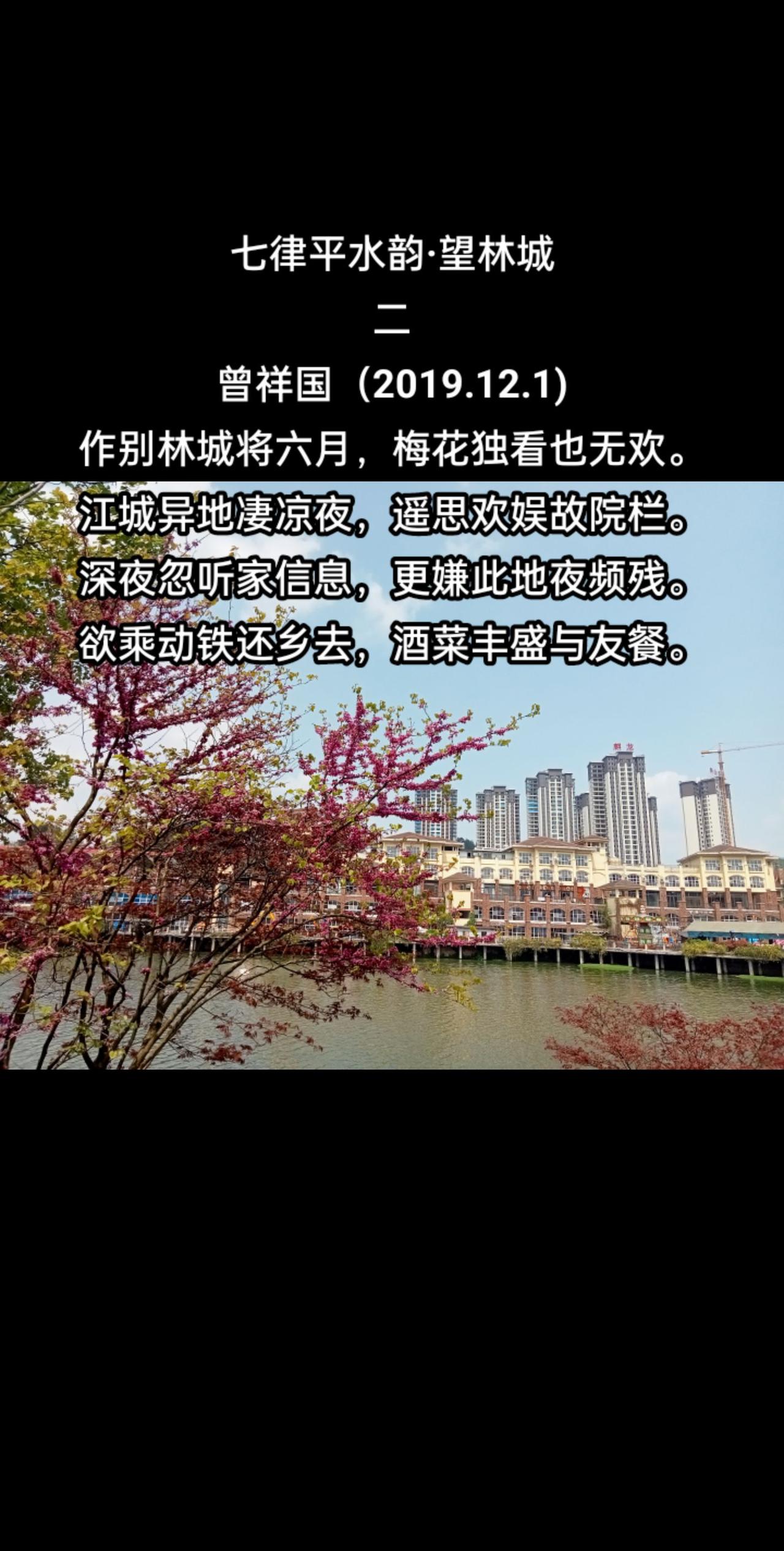 望林城（二）