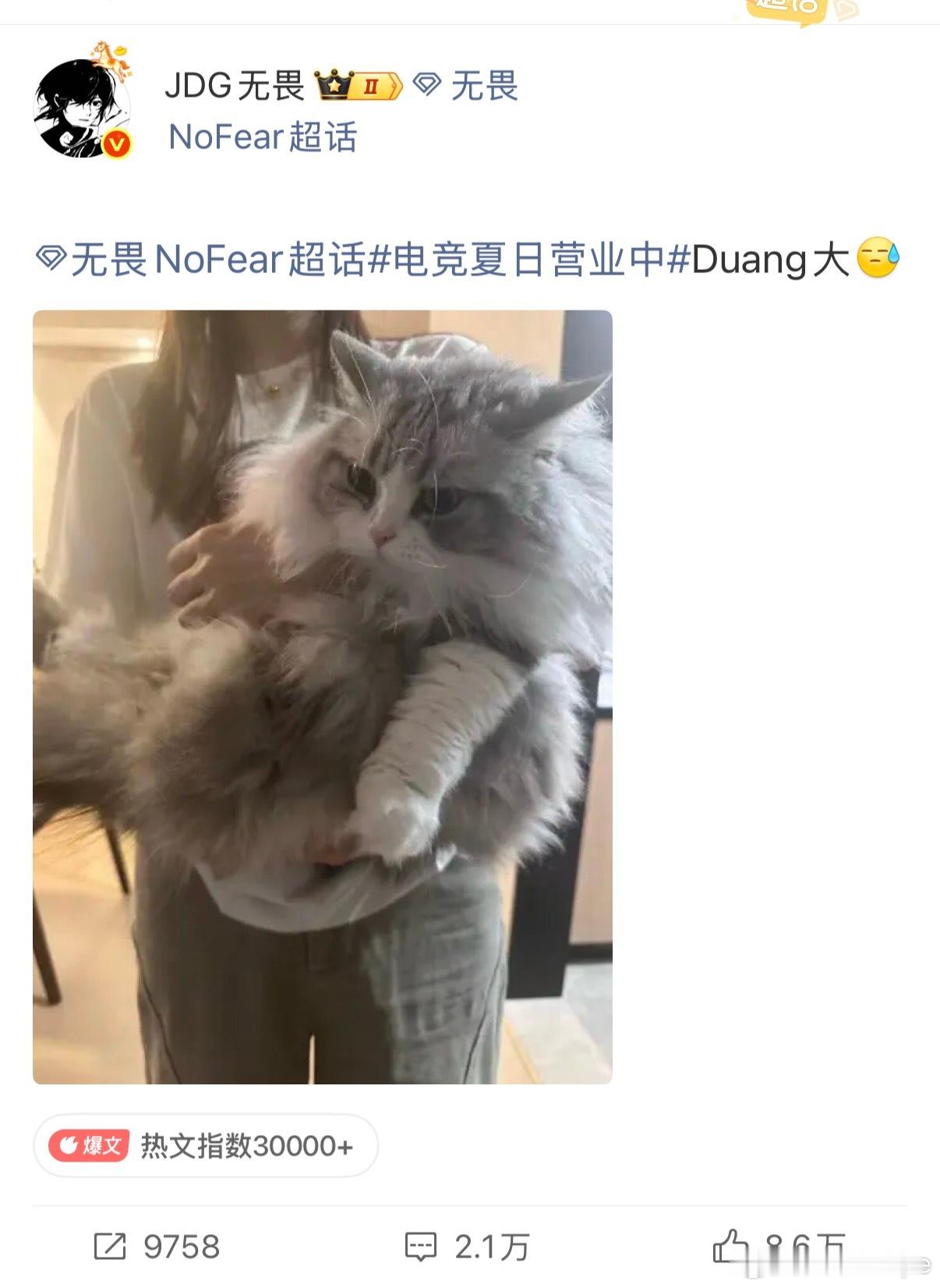 谁通知一下 这个叫什么狗地基吴薇的人能不能发点自己的自拍（合照也行） 别老光蹭我