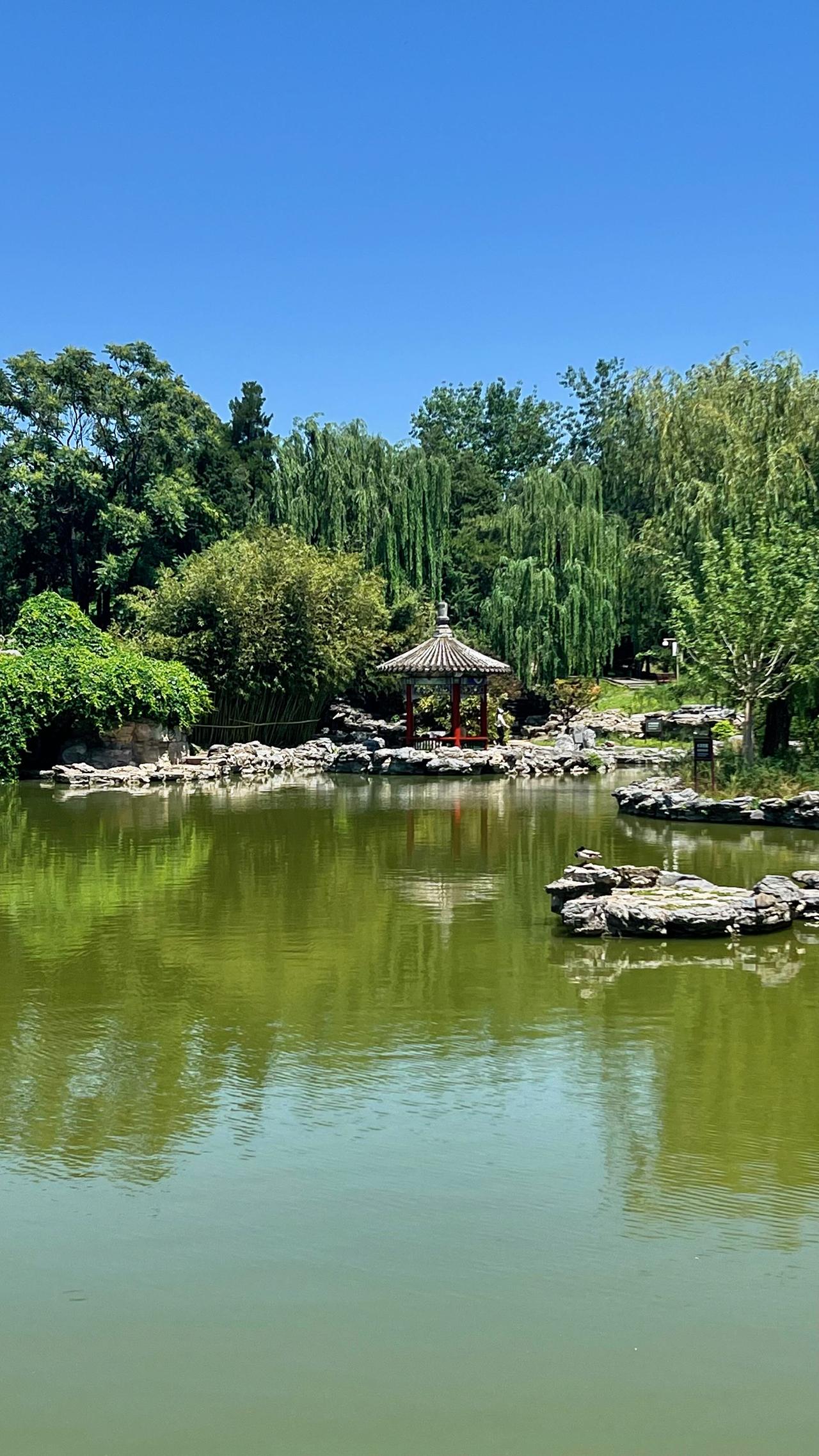 夏日的日坛公园，风光旖旎，风景如画