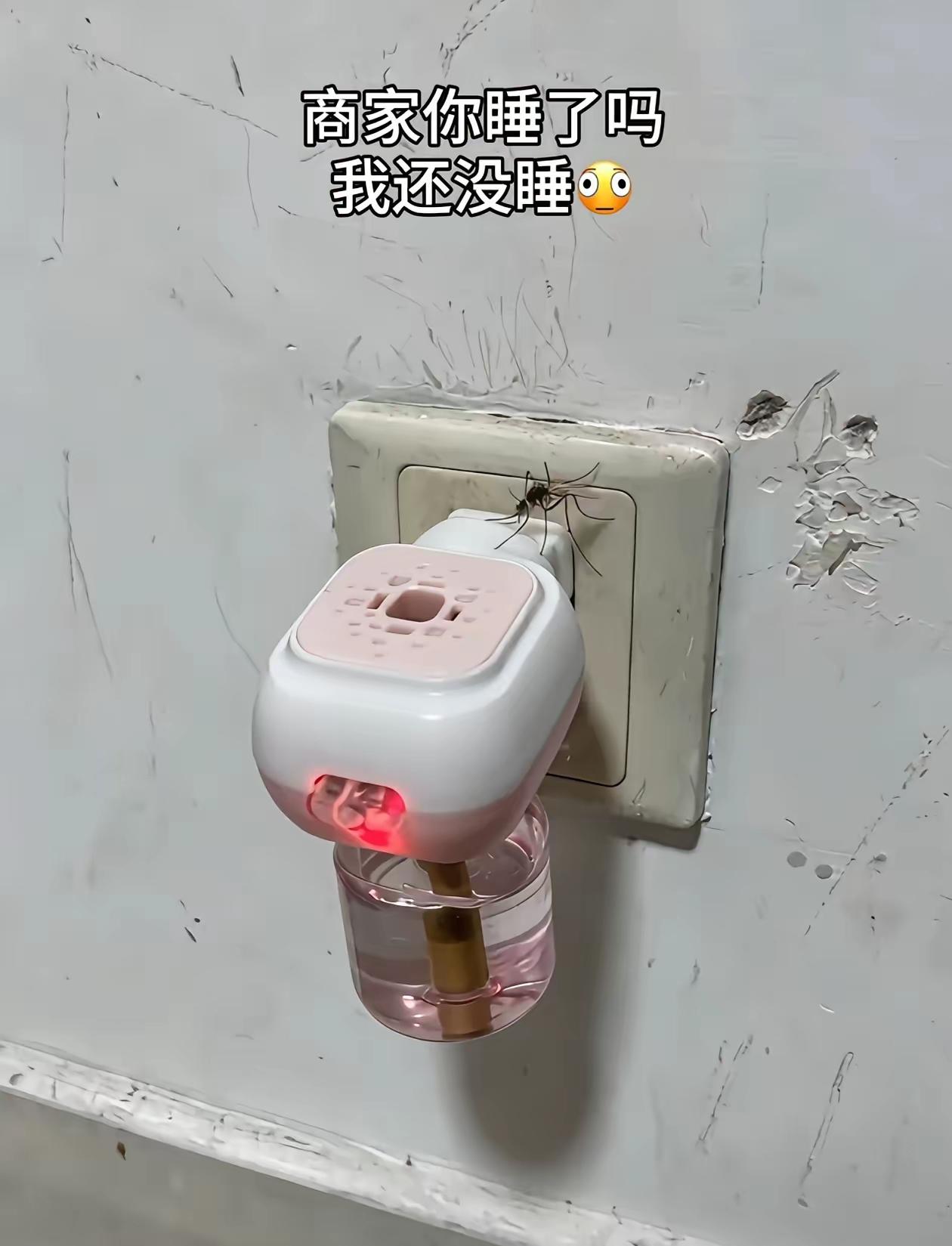 商家说你看效果肯定不错吧，蚊子受不了过来拔电源了[捂脸]
