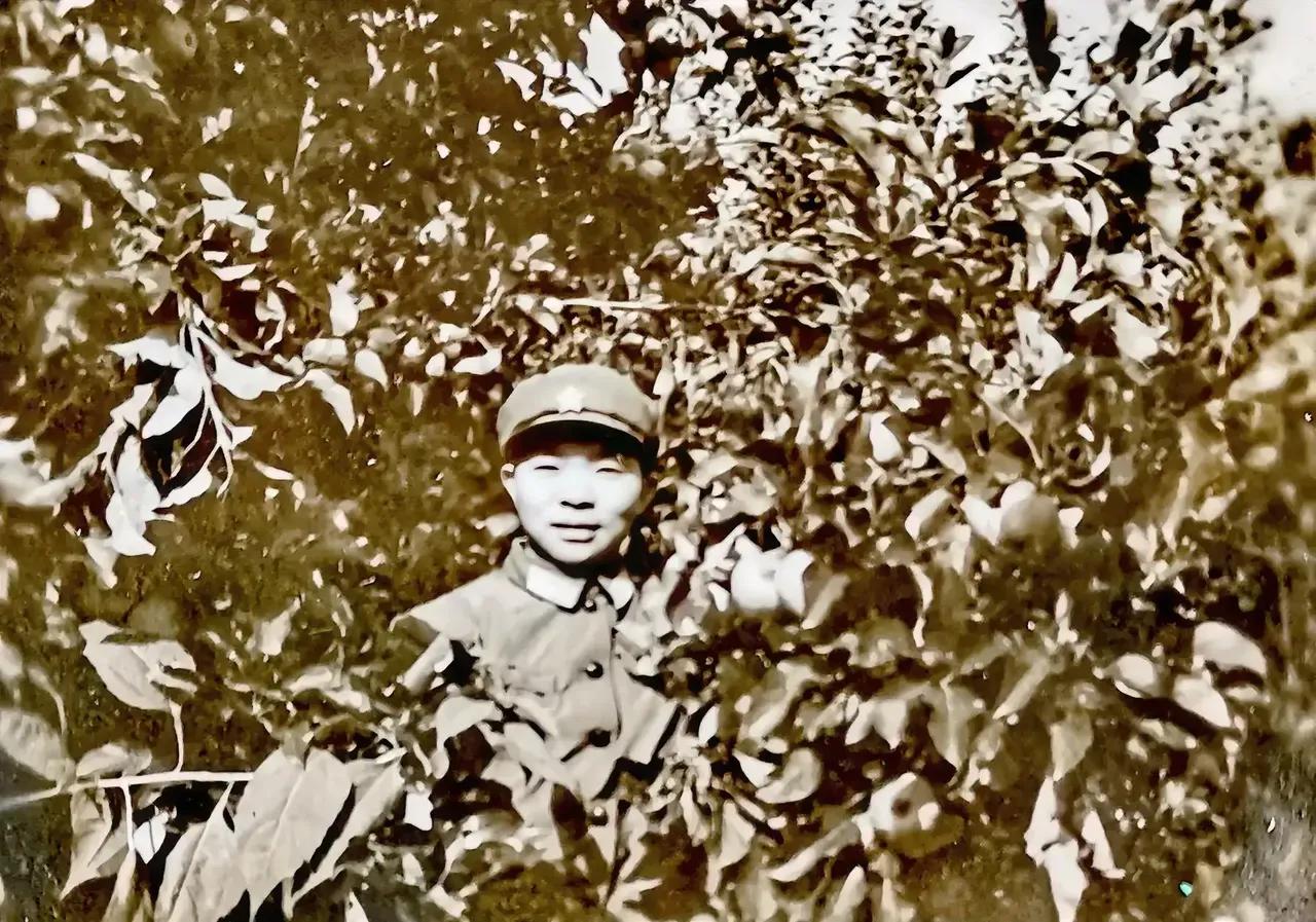 #一张图片证明你到过林芝#这张照片就是在我们科苹果园拍的，那是上个世纪的1973